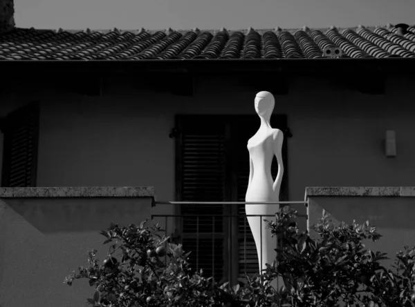Photographie Thème Beau Mannequin Blanc Mannequin Femelle Sur Fond Maison — Photo