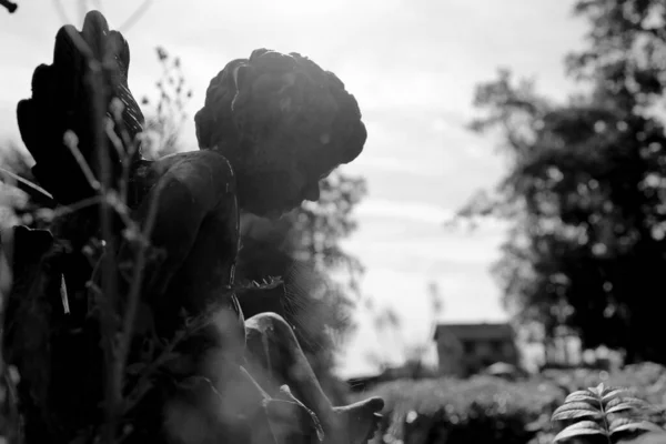 Piękny Posąg Amora Anioła Skrzydłami Tyłu Zabytkowym Ogrodzie Posąg Amora — Zdjęcie stockowe