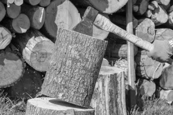 나무로 손잡이 사냥을 자연적인 배경에 1개의 도끼로 이루어져 위조된 부속품 — 스톡 사진