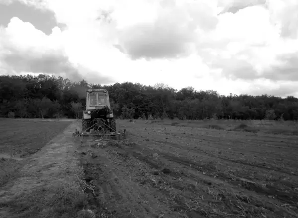 Campo Fluido Por Tractor Suelo Negro Naturaleza Campo Abierto Tractor —  Fotos de Stock