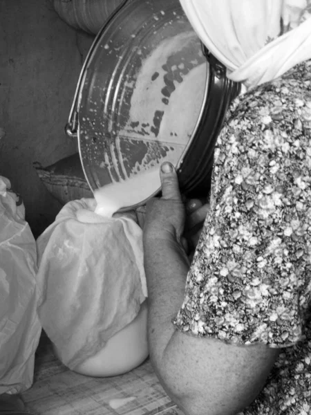 Photo on theme of milkmaid woman pouring milk from an aluminum bucket into glass jar through clean cheesecloth