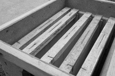 Kanatlı arı kovanına doğru yavaşça uçar ve canlı çiçeklerden özel arı kovanında nektar toplar. Apiary köyün arı kovanından oluşur, arının bacaklarında çiçek tozu. Arka planda arılar için arı kovanı var.