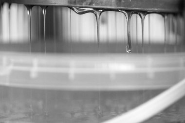 Altın nektarla doldurulmuş altıgen bal peteklerinden bir damla bal damlıyor. Bal peteği yaz kompozisyonu. Doğal bal damlası, balmumu çerçeveli arı damlası. Bal damlası bal damlatıyor bal peteğine.