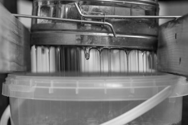 Altın nektarla doldurulmuş altıgen bal peteklerinden bir damla bal damlıyor. Bal peteği yaz kompozisyonu. Doğal bal damlası, balmumu çerçeveli arı damlası. Bal damlası bal damlatıyor bal peteğine.