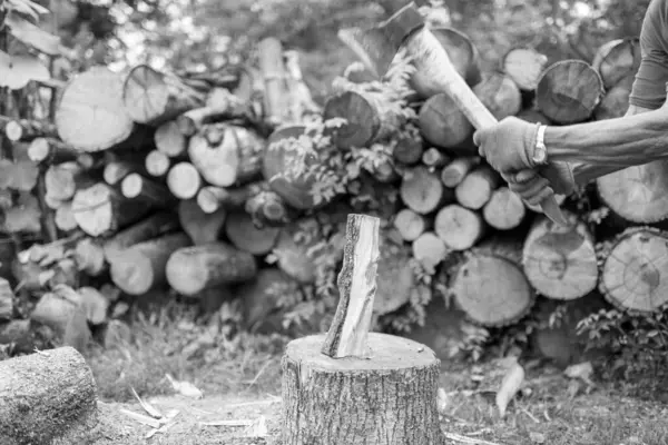 木製のハンドルが付いている主題の大きい鋼鉄斧の写真 狩猟のための金属の軸 自然の背景の1つの長い斧から成っている写真軸は 生存のための主要な付属品の男性 重い軸を造りました — ストック写真