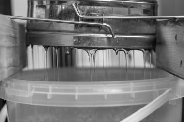 Altın nektarla doldurulmuş altıgen bal peteklerinden bir damla bal damlıyor. Bal peteği yaz kompozisyonu. Doğal bal damlası, balmumu çerçeveli arı damlası. Bal damlası bal damlatıyor bal peteğine.