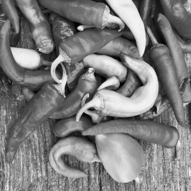 Tema üzerine uzun kırmızı acı biber, akut sebze. Fotoğraf, kırsal kesimin arka planında kıvrımlı kırmızı acı biberden oluşur. Mutfakta pişirme menüsü için baharat. Kırmızı acı biber.