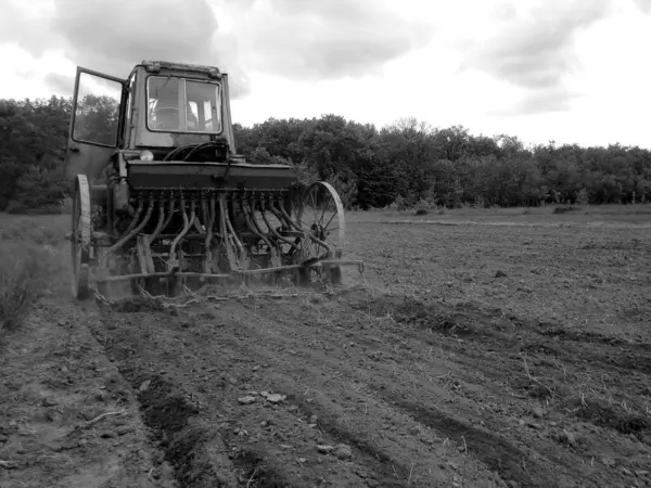 Szántóföld Traktorral Fekete Talajban Nyílt Vidéken Természet Traktor Szántott Területen — Stock Fotó