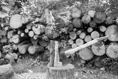 Temalı büyük çelik balta ahşap saplı fotoğraf, avlanmak için metal balta, doğal arka planda uzun bir baltadan oluşan fotoğraf baltası, ana aksesuar erkek, hayatta kalmak için ağır balta