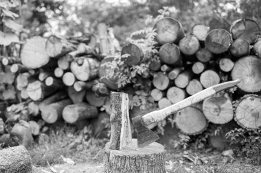 Temalı büyük çelik balta ahşap saplı fotoğraf, avlanmak için metal balta, doğal arka planda uzun bir baltadan oluşan fotoğraf baltası, ana aksesuar erkek, hayatta kalmak için ağır balta