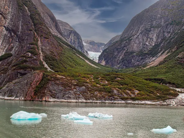 Gökyüzü ve bulutlu koni çiçeği