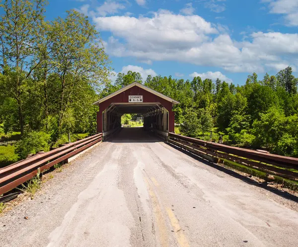 Gökyüzü ve bulutlu koni çiçeği
