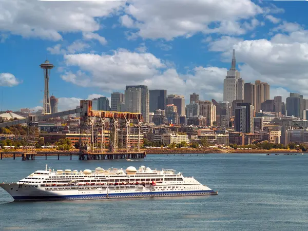 Gökyüzü ve bulutlu koni çiçeği