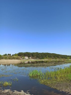 Ormanın ortasındaki bir nehrin manzarası, mavi gökyüzü, suyun üzerindeki bulutlar.