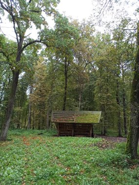 Şehirdeki sonbahar parkı