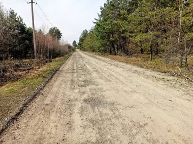 Ormanda çakıllı yol