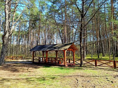 Doğada aile eğlencesi için bir yer.