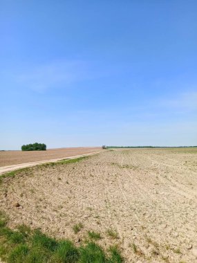 Taze sürülmüş arazi görünümü