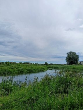 Nehrin kıvrımları uzun otların arasında