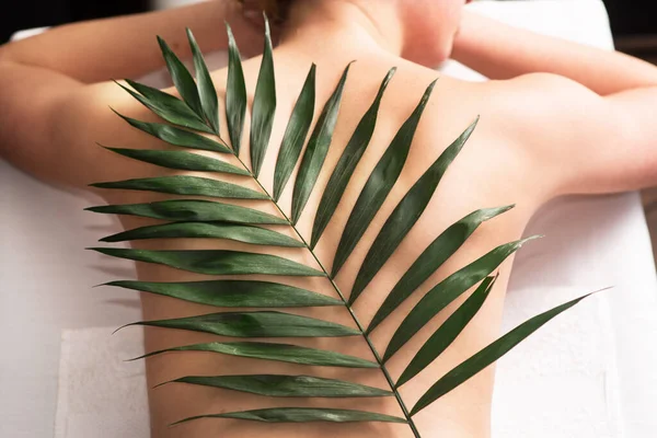 Woman Body Beauty Back Side. Slim Fit Model Rear View Silhouette with Palm Tree Leaf. Spa Salon Natural Therapy over dark Background. massage content. Massage advertisement