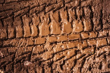 Çamurdaki arabanın izinin dokusu. Yağmurdan sonra toprak yol. Yakın plan. Doğal ışık, parlak güneş ışığı. Çok detaylı bir geçmişi var. Makro