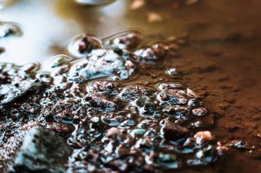 Su birikintisindeki küçük taşların dokusu, güneş ışığı, eski harap olmuş asfalt. Arka plan çok detaylı. Yağmurdan sonra granit taşlar. Makro