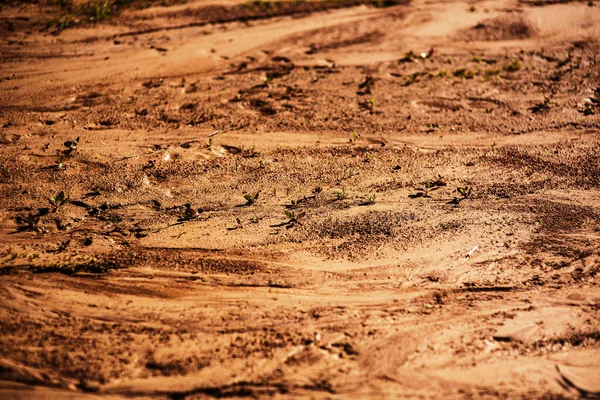 으스러지고 질감을 상세하게 햇빛으로 진흙을 적시는 화성의 다이나믹 페이퍼 — 스톡 사진