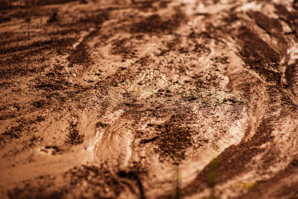 グランジ 詳細なクローズアップぬれた粘土質の質感 日光からの滴でぬれた泥 火星の表面 ダイナミック明るい色 高詳細 壁紙の背景 — ストック写真