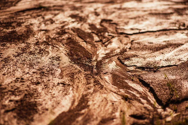 细致的特写湿粘土质感 湿透了的泥巴 雨水和阳光都湿透了 火星的表面 动态明亮的颜色 高细节 壁纸背景 — 图库照片