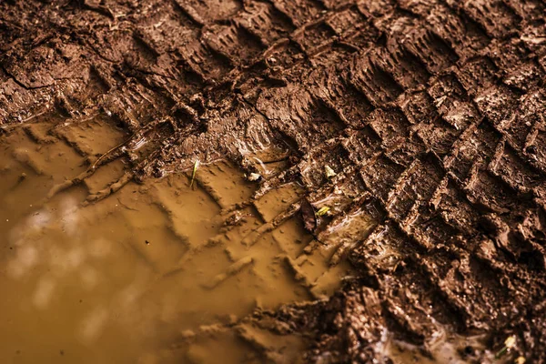 泥の上の車からのトレースのテクスチャ 雨の後の未舗装の道路を閉じるまで 自然光と陽射し 超詳細な背景 マクロ — ストック写真