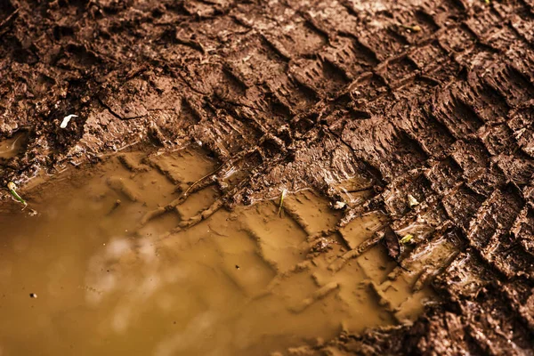 泥の上の車からのトレースのテクスチャ 雨の後の未舗装の道路を閉じるまで 自然光と陽射し 超詳細な背景 マクロ — ストック写真
