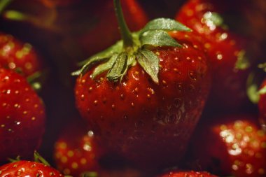 Kırmızı, olgun çilekler ve yakından tanımlanmış dokular. Çilekli Makro shot. Arkaplan, ekran koruyucu, masaüstü duvar kağıdı. Sulu, olgun çilekler.