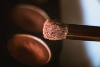 Pembe tonlarda bir palet göz farı, kozmetik fırçalı bir çift göz farı, makro, üst görünüm. Makyaj ve yakın çekim için çıplak görünüm paleti