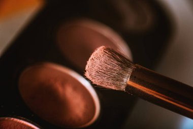 Pembe tonlarda bir palet göz farı, kozmetik fırçalı bir çift göz farı, makro, üst görünüm. Makyaj ve yakın çekim için çıplak görünüm paleti