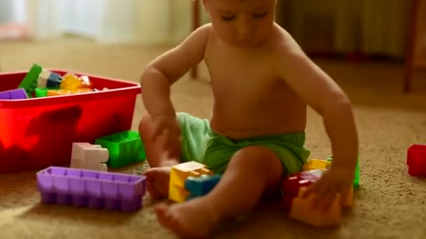 Cute Little European Looking Boy Plays Colorful Construction Set Sunlit — Stock Video