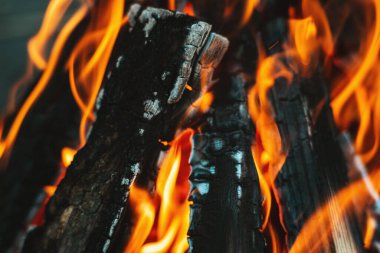 Kamp ateşinin üzerinde parlak bir alev. Bir piramide istiflenmiş ahşap odun yanıyor. O, pek kızgın bir ateştir. Beyaz duman ateşin üzerinde yükseliyor. Barbekü şenlik ateşi. Turizm konsepti