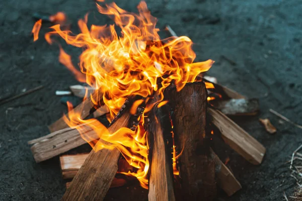 stock image A bright flame of fire over a campfire. Wooden wood stacked in a pyramid is burning. The flame of fire close-up. White smoke rises over the fire. Barbecue bonfire. Tourist concept