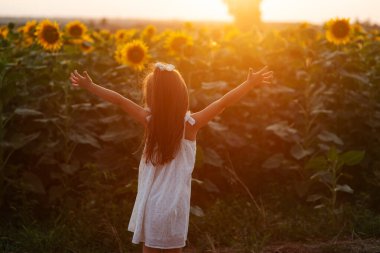 Beyaz yaz elbiseli küçük, güzel bir kız elleri açık gün batımında ayçiçeği tarlasına bakıyor. Arka plan.