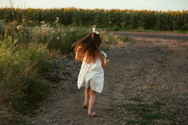 Симпатична Дівчинка Білій Літній Сукні Біжить Поля Соняшників Заході Сонця — стокове фото