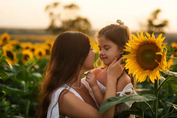 Красива Молода Мама Приваблює Свою Молоду Дочку Серед Соняшників Заході — стокове фото