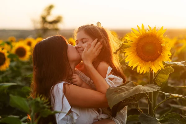 Beautiful young mom cuddling and kisses her young daughter among sunflowers at sunset. Motherly, tender love, happy childhood.