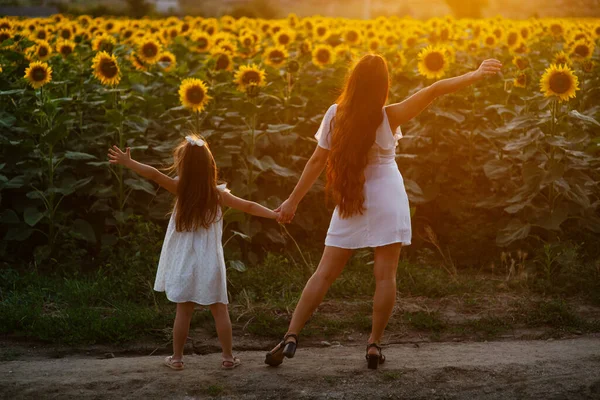 一个漂亮的小女孩 穿着白色的夏装 站在那里 双手张开 在夕阳西下望着一片片向日葵 背景色 — 图库照片