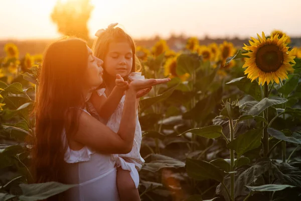 Beautiful young mom cuddling her young daughter among sunflowers at sunset. Motherly, tender love, happy childhood.