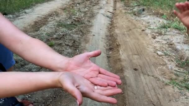 Dziecko Wkłada Ręce Ręce Matki Zbliżenie Delikatny Dotyk Bawię Się — Wideo stockowe