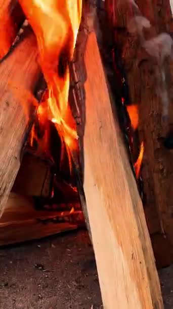 ログに火がついている キャンプ場でのキャンプファイヤーの閉鎖 高品質のフルHd映像 — ストック動画