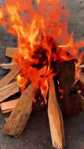 Odunlarda Yangın Çıktı Kamp Alanındaki Kamp Ateşine Yakın Çekim Yüksek — Stok video