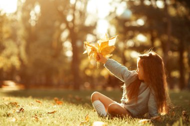 Gün batımında elinde sarı yapraklarla parkta çimlerin üzerinde oturan tatlı küçük kız. Parkta sonbahar yürüyüşü. Mutlu bir çocukluk. Yüksek kalite fotoğraf