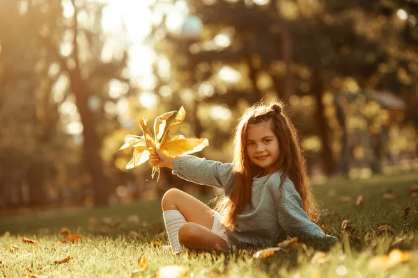 公園の草の上に座っているかわいい小さな女の子は 日没に彼女の手の中に黄色い葉を持っています 公園内を歩いている秋 幸せな子供時代だった 高品質の写真 — ストック写真
