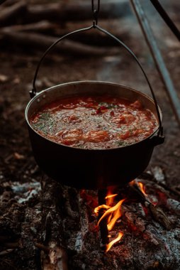 Kazanda ateşte pişirilen lezzetli domates çorbasının dikey fotoğrafı. Mangalda borş çorbası. Lezzetli geleneksel Ukrayna yemeği. Yemek dışarıda tatilde. Yüksek kalite fotoğraf