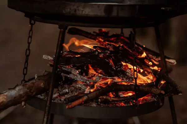 Fuego Madera Bosque Una Cacerola Metal Para Cocinar Picnic Fondo Fotos de stock libres de derechos
